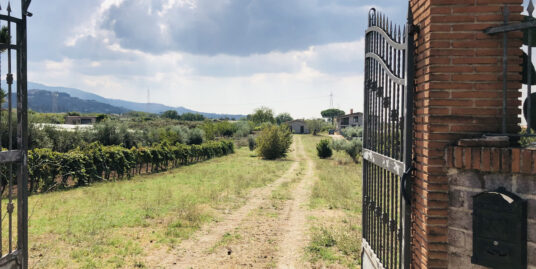 Terreno Agricolo in vendita zona Zagarolo (cod I/1005)